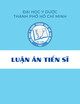 Luận án Tiến sĩ Y học: Nghiên cứu hiệu quả cắt dịch kính bóc màng giới hạn trong vạt ngược điều trị bong võng mạc do lỗ hoàng điểm trên cận thị nặng