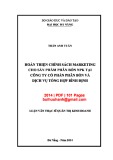 Luận văn Thạc sĩ Quản trị kinh doanh: Hoàn thiện chính sách marketing cho sản phẩm phân bón NPK tại Công ty cổ phần Phân bón và Dịch vụ tổng hợp Bình Định
