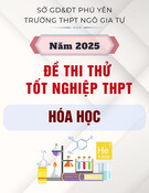 Đề thi thử tốt nghiệp THPT môn Hóa học năm 2025 - Trường THPT Ngô Gia Tự, Phú Yên