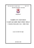 Luận án Tiến sĩ Y học: Nghiên cứu chẩn đoán và kết quả điều trị vi phẫu thuật u màng não góc cầu - tiểu não