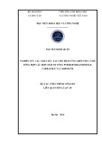 Luận án Tiến sĩ Hóa học: Nghiên cứu các chất xúc tác cho phản ứng ghép nối C-N để tổng hợp các hợp chất dị vòng pyridoimidazoindole, carbazole và carboline