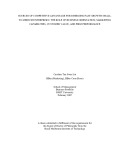 Doctoral thesis of Philosophy: Sources of competitive advantage for emerging fast growth small-to-medium enterprises: the role of business orientation, marketing capabilities, customer value, and firm performance