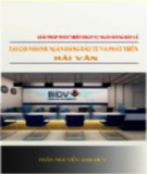 Luận văn Thạc sĩ Quản trị kinh doanh: Giải pháp phát triển dịch vụ ngân hàng bán lẻ tại chi nhánh Ngân hàng Đầu tư và Phát triển Hải Vân