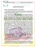 Nghề nuôi lợn rừng