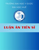 Luận án Tiến sĩ Y học: Nghiên cứu điều trị sỏi thận bằng nội soi thận ngược dòng sử dụng ống soi bán cứng