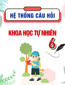Hệ thống câu hỏi môn Khoa học tự nhiên lớp 6
