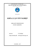 Khóa luận tốt nghiệp Marketing: Giải pháp thúc đẩy thị trường tiêu thụ sản phẩm tại công ty cổ phần đầu tư xây dựng thương mại Huy Vũ