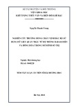 Tóm tắt Luận án Tiến sĩ Hải dương học: Nghiên cứu trường dòng chảy vịnh Bắc Bộ sử dụng dữ liệu quan trắc từ hệ thống Radar biển và đồng hóa trong mô hình số trị