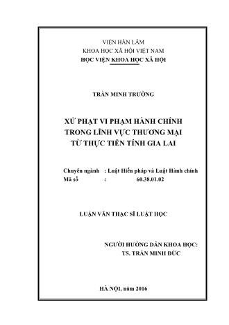 Luận văn Xử phạt vi phạm hành chính trong lĩnh vực thương mại từ thực tiễn tỉnh Gia Lai