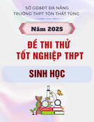 Đề thi thử tốt nghiệp THPT môn Sinh học năm 2025 có đáp án - Trường THPT Tôn Thất Tùng, Đà Nẵng