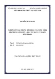 Tóm tắt Luận án Tiến sĩ Kỹ thuật: Nghiên cứu đặc trưng hình học của nước nhảy đáy trong kênh lăng trụ mặt cắt ngang hình thang