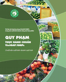 Quy phạm Thực hành chuẩn VietGAHP/GMPs: Chuỗi sản xuất kinh doanh quả tươi