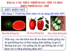 Bài giảng Khoa học tự nhiên lớp 9 - Bài 41: Cấu trúc nhiễm sắc thể và đột biến nhiễm sắc thể (Tiếp theo CTST)