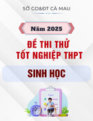 Đề thi thử tốt nghiệp THPT môn Sinh học năm 2025 - Sở GD&ĐT Cà Mau