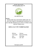 Khoá luận tốt nghiệp Đại học: Đánh giá thực trạng môi trường không khí và đề xuất công nghệ xử lý bụi,khí thải tại Nhà máy sản xuất chì thỏi,chì kim loại của Công ty Cổ phần luyện kim màu tỉnh Hà Giang
