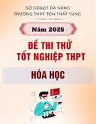 Đề thi thử tốt nghiệp THPT môn Hóa học năm 2025 có đáp án - Trường THPT Tôn Thất Tùng, Đà Nẵng