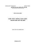 Luận văn Thạc sĩ Kiến trúc: Kiến trúc trống tầng trệt trong khu đô thị mới