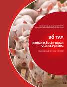 Sổ tay Hướng dẫn áp dụng VietGAHP/GMPs: Chuỗi sản xuất kinh doanh thịt lợn