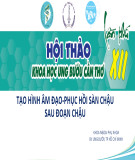Báo cáo: Tạo hình âm đạo - phục hồi sàn chậu sau đoạn chậu