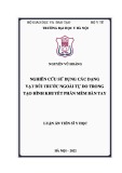 Luận án Tiến sĩ Y học: Nghiên cứu sử dụng các dạng vạt đùi trước ngoài tự do trong tạo hình khuyết phần mềm bàn tay