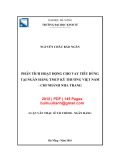Luận văn Thạc sĩ Tài chính ngân hàng: Phân tích hoạt động cho vay tiêu dùng tại Ngân hàng TMCP Kỹ thương Việt Nam - Chi nhánh Nha Trang