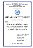 Khoá luận tốt nghiệp ngành Kỹ thuật y sinh: Ứng dụng mô hình Vision Transformer trong phân loại dữ liệu bệnh phổi