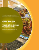 Quy phạm Thực hành chuẩn VietGAHP/GMPs: Chuỗi sản xuất kinh doanh thịt gà