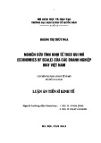 Luận án Tiến sĩ Kinh tế: Nghiên cứu tính kinh tế theo qui mô (economies of scale) của các doanh nghiệp may Việt Nam