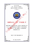 Khóa luận tốt nghiệp Tài chính Ngân hàng: Hoàn thiện công tác quản trị rủi ro tín dụng đối với khách hàng cá nhân tại Ngân hàng thương mại cổ phần Đông Á – Chi nhánh Thành phố Huế