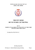 Đề tài nghiên cứu khoa học cấp trường: Nghiên cứu dao động của dầm chủ cầu treo nhịp lớn bằng phần mềm ANSYS