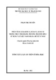 Tóm tắt Luận án Tiến sĩ Hóa học: Phân tích Auramin O, Sundan I, Sudan II trong thực phẩm bằng phương pháp RP-HPLC sử dụng vật liệu nanosilica để xử lý mẫu