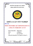Khóa luận Tốt nghiệp: Phân tích hiệu quả kinh doanh của Công ty TNHH MTV AN VŨ