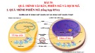 Bài giảng Khoa học tự nhiên lớp 9 - Bài 39: Quá trình tái bản, phiên mã và dịch mã (II, III)