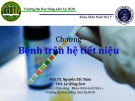 Bài giảng chương Bệnh trên hệ tiết niệu - PGS.TS. Nguyễn Tất Toàn