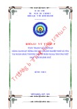 Khóa luận tốt nghiệp: Thực trạng và giải pháp nâng cao hoạt động cho vay doanh nghiệp nhỏ và vừa tại Ngân hàng thương mại cổ phần Ngoại thương Việt Nam – chi nhánh Huế