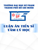 Luận án Tiến sĩ Tâm lý học: Tổn thương tâm lý của thiếu niên bị cha mẹ bạo lực tại thành phố Hồ Chí Minh