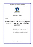 Khóa luận tốt nghiệp: Ảnh hưởng của các quá trình chần lên hàm lượng bột sinh tố mãng Cầu Xiêm